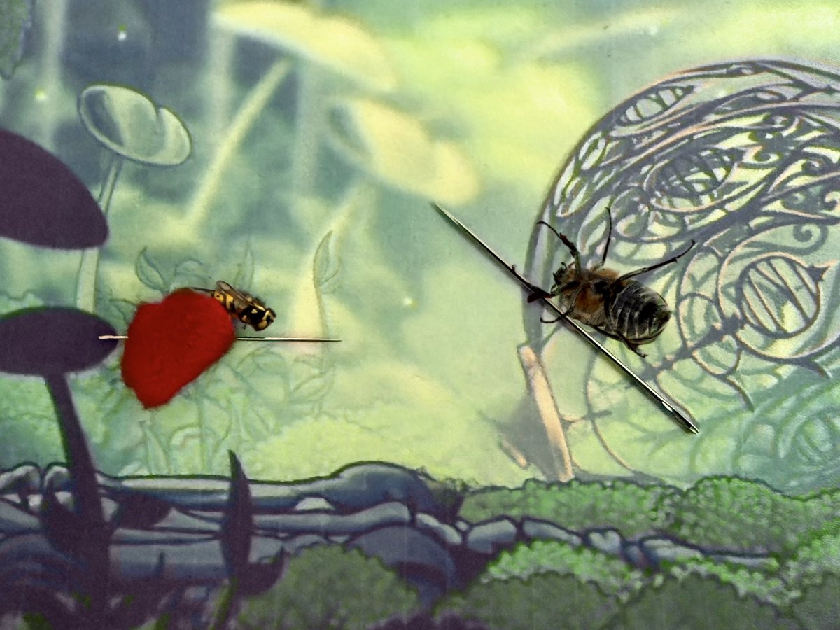 screw the servers I'll do it myself