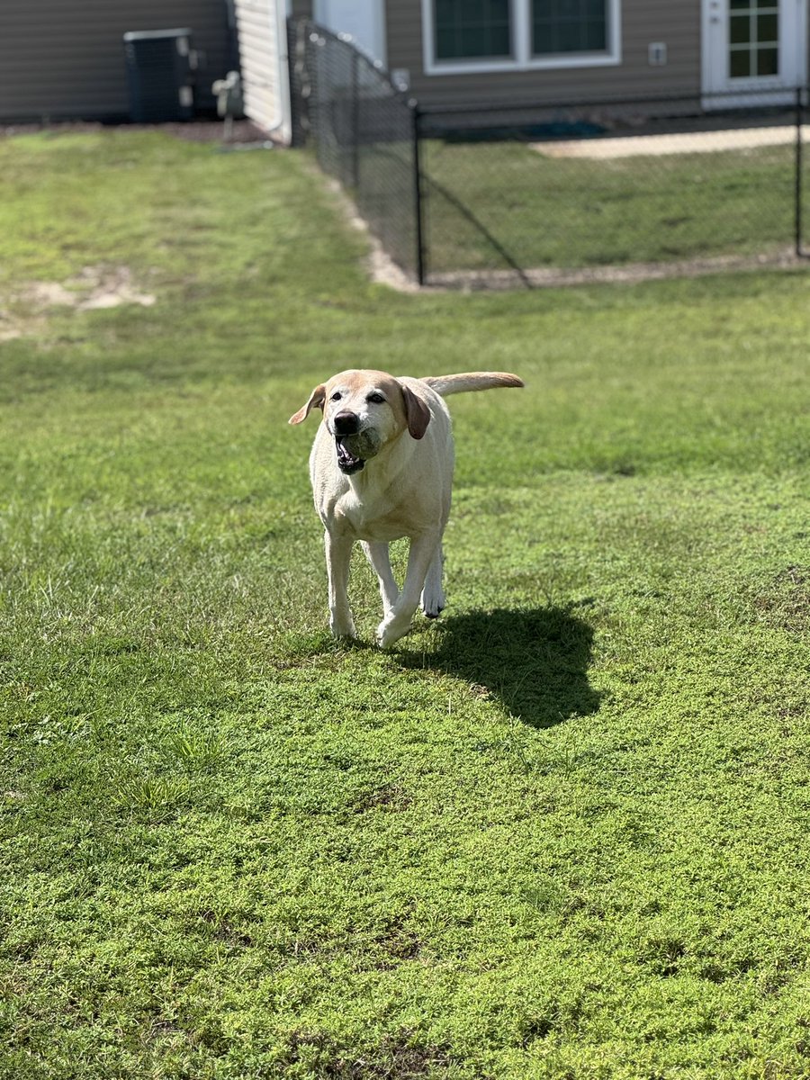 Viper1Zero tweet media