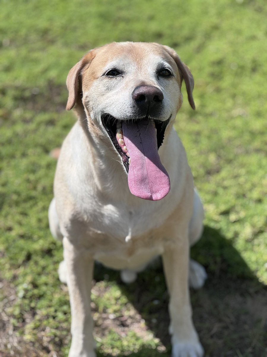 Viper1Zero tweet media