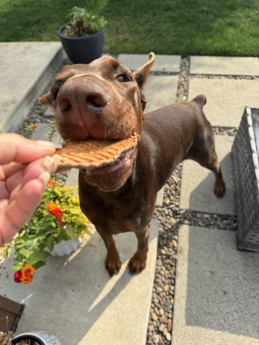 Sweet potato for my sweet potato !!! 😉