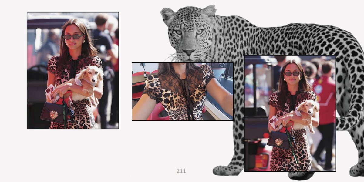 🐆 with Leo. ♥︎