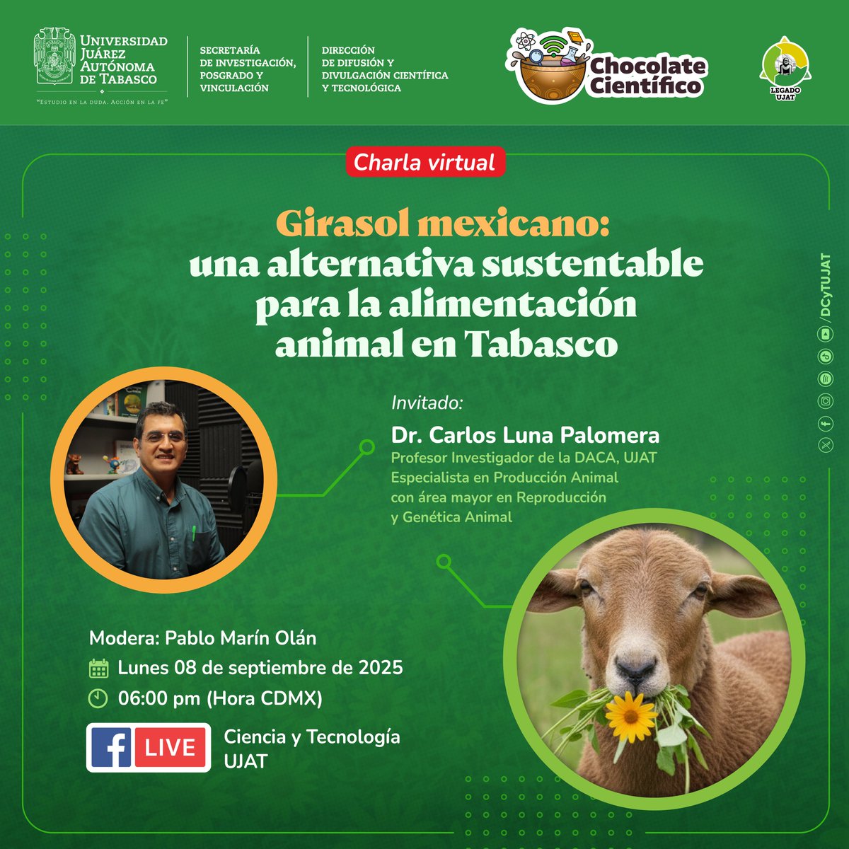 📌 Te invitamos este Chocolate científico virtual
𝐆𝐢𝐫𝐚𝐬𝐨𝐥  𝐦𝐞𝐱𝐢𝐜𝐚𝐧𝐨: 𝐮𝐧𝐚 𝐚𝐥𝐭𝐞𝐫𝐧𝐚𝐭𝐢𝐯𝐚 𝐬𝐮𝐬𝐭𝐞𝐧𝐭𝐚𝐛𝐥𝐞  𝐩𝐚𝐫𝐚 𝐥𝐚 𝐚𝐥𝐢𝐦𝐞𝐧𝐭𝐚𝐜𝐢𝐨́𝐧 𝐚𝐧𝐢𝐦𝐚𝐥 𝐞𝐧 𝐓𝐚𝐛𝐚𝐬𝐜𝐨🌼🌿🐄🐑🌿🌼
🤓 ¡Ciencia con sabor a chocolate!
#CienciaJuchiman #UJAT