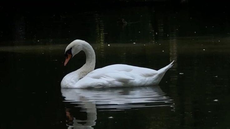 ᅠ ᅠ (@greendreaams) on Twitter photo 