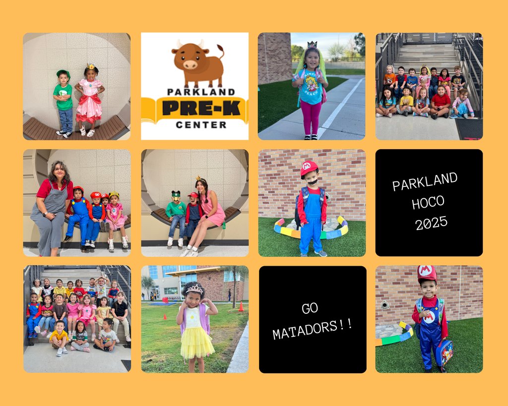 Our Toritos are racing into spirit!   Dressed up in Mario Kart style to show their support for HOCO 2025 activities!