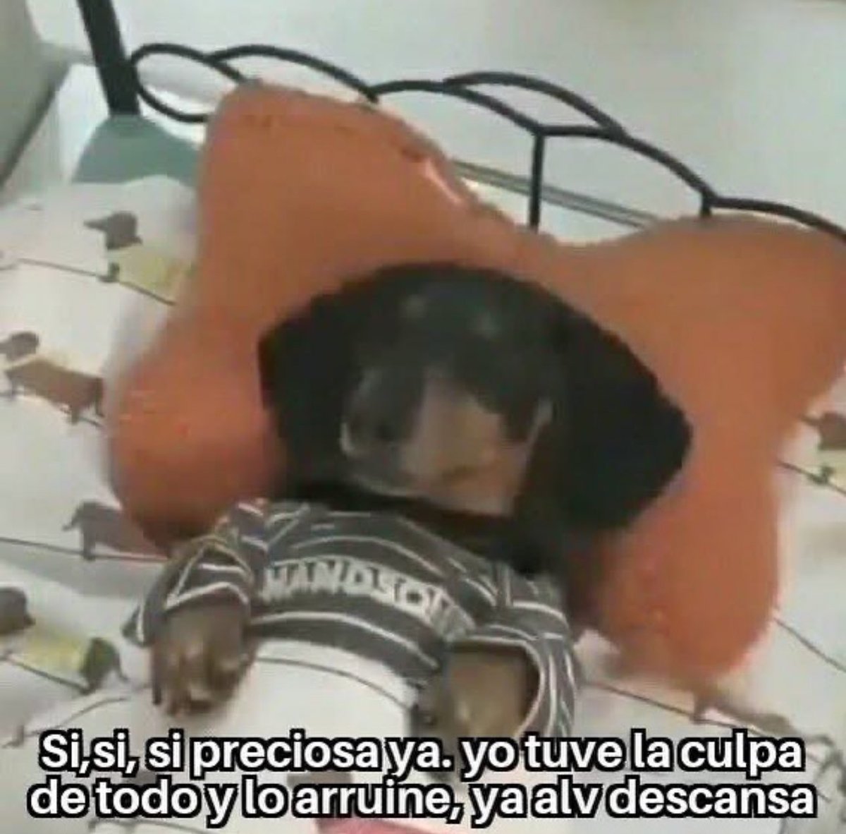skereunpesado's tweet photo. https://t.co/ZptF7yC8kM