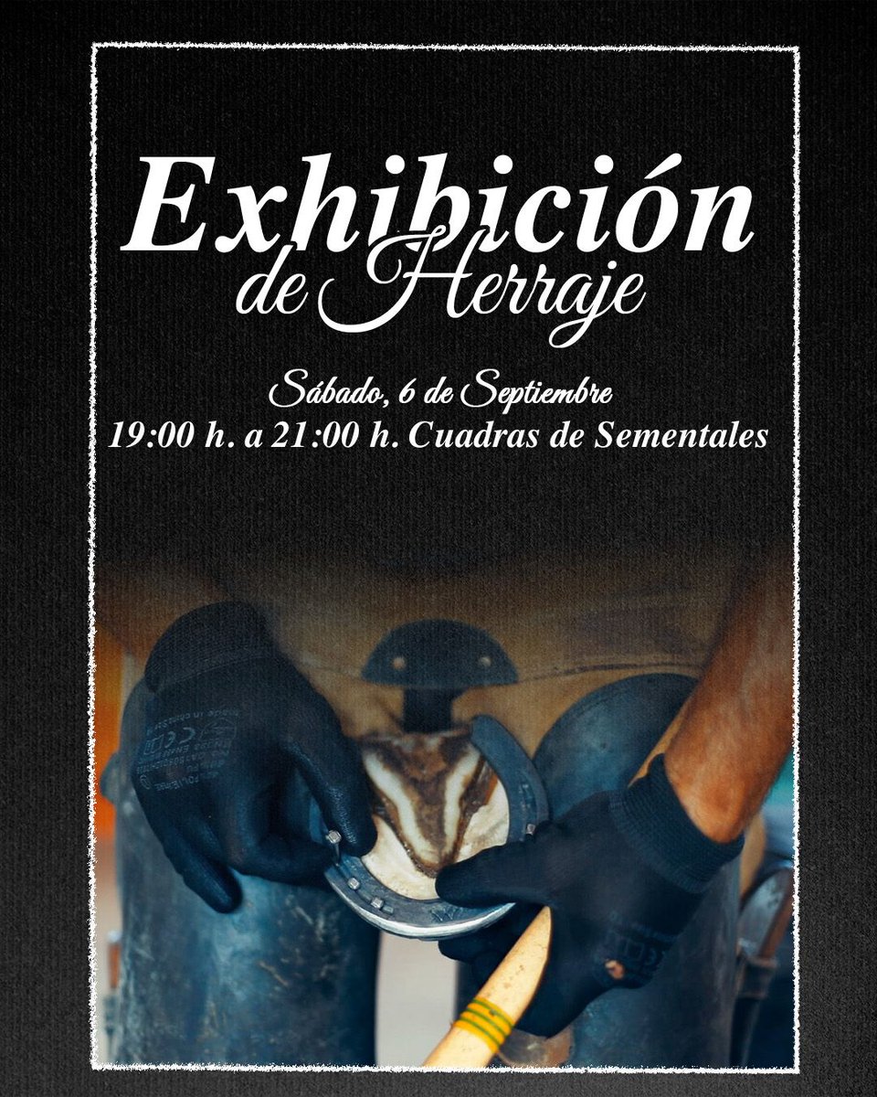 🐎 EXHIBICIONES DE HERRAJE Y CABALLISTA

🗓️ Viernes 5 de septiembre
•⁠  ⁠19:00 h. Pista Central

🗓️ Sábado 6 de septiembre
•⁠  ⁠De 19:00 a 21:00 h. Cuadras de Sementales

📲 #EcuestreTorrejoncillo2025 #PasiónEcuestre