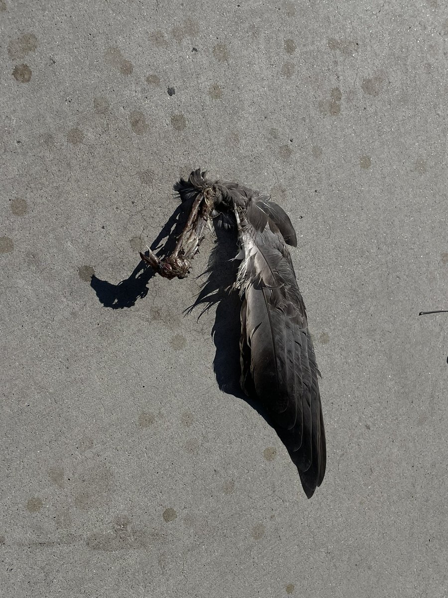 governmenteyeD's tweet image. Good morning