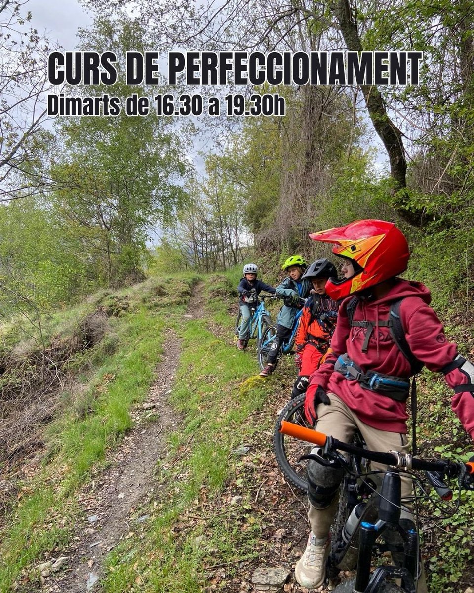 AEPallars tweet media