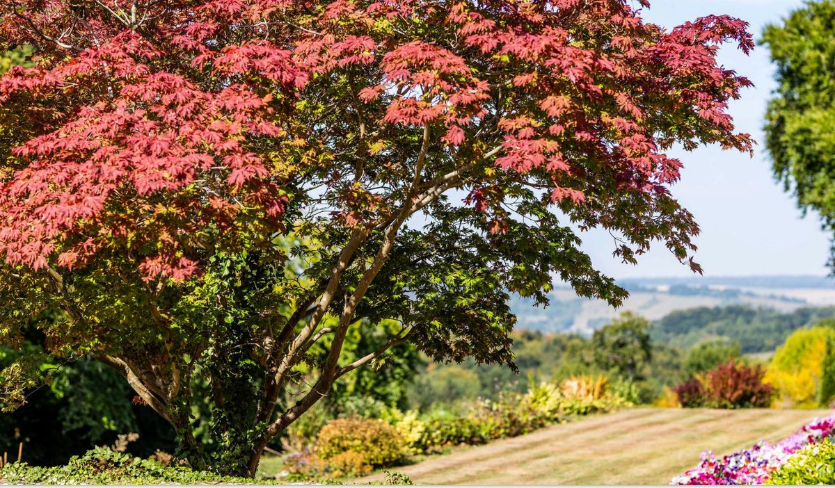 FlintHouseRehab's tweet image. We are proud to be at the National Association of Retired Police Officers (NARPO) 2025 conference. 
Donating regularly supports not only those who are serving but also those who served in the past - flinthouse.co.uk/retired-office…

#retiredpolice #NARPO #helpandheal #makingadifference