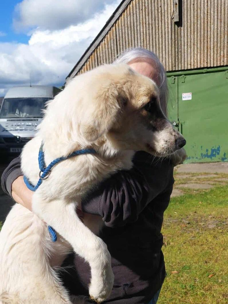 Adrian Tilsed tweet media