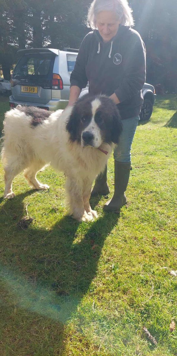 Adrian Tilsed tweet media