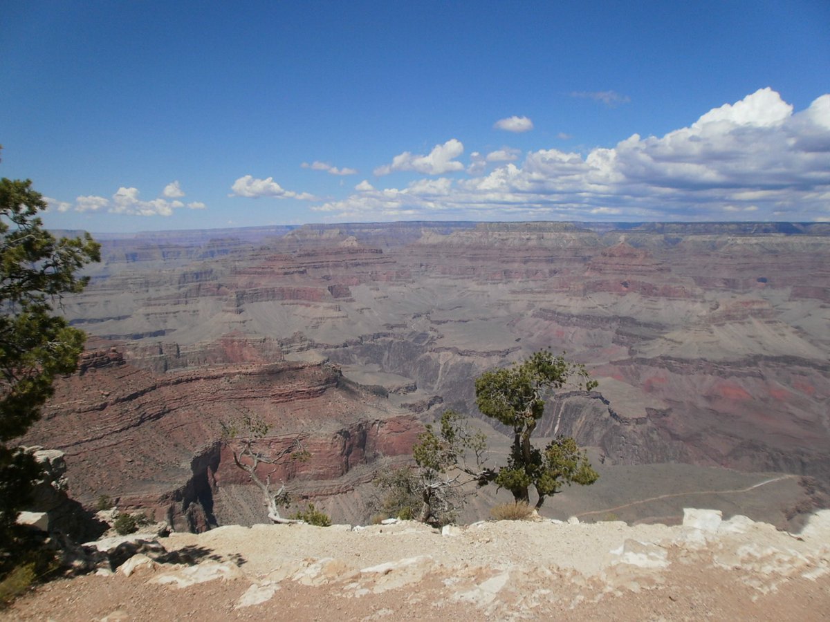 SalPizzLive's tweet photo. Had a wonderful time at the Grand Canyon! https://t.co/WppBct1PjI