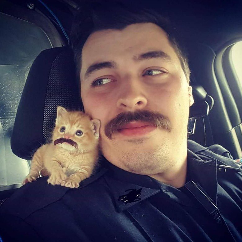 Donut Operator 🍩 (@donutoperator) on Twitter photo Well boys, I think it's time to call it. My boy Squirt started off this whole Donut Opertor thing. I know a lot of people have the whole "outdoor cats are bad" thing. I always felt like my little man was like me. He started off from the bottom and he loved being outside. He Well boys, I think it's time to call it. My boy Squirt started off this whole Donut Opertor thing. I know a lot of people have the whole "outdoor cats are bad" thing. I always felt like my little man was like me. He started off from the bottom and he loved being outside. He