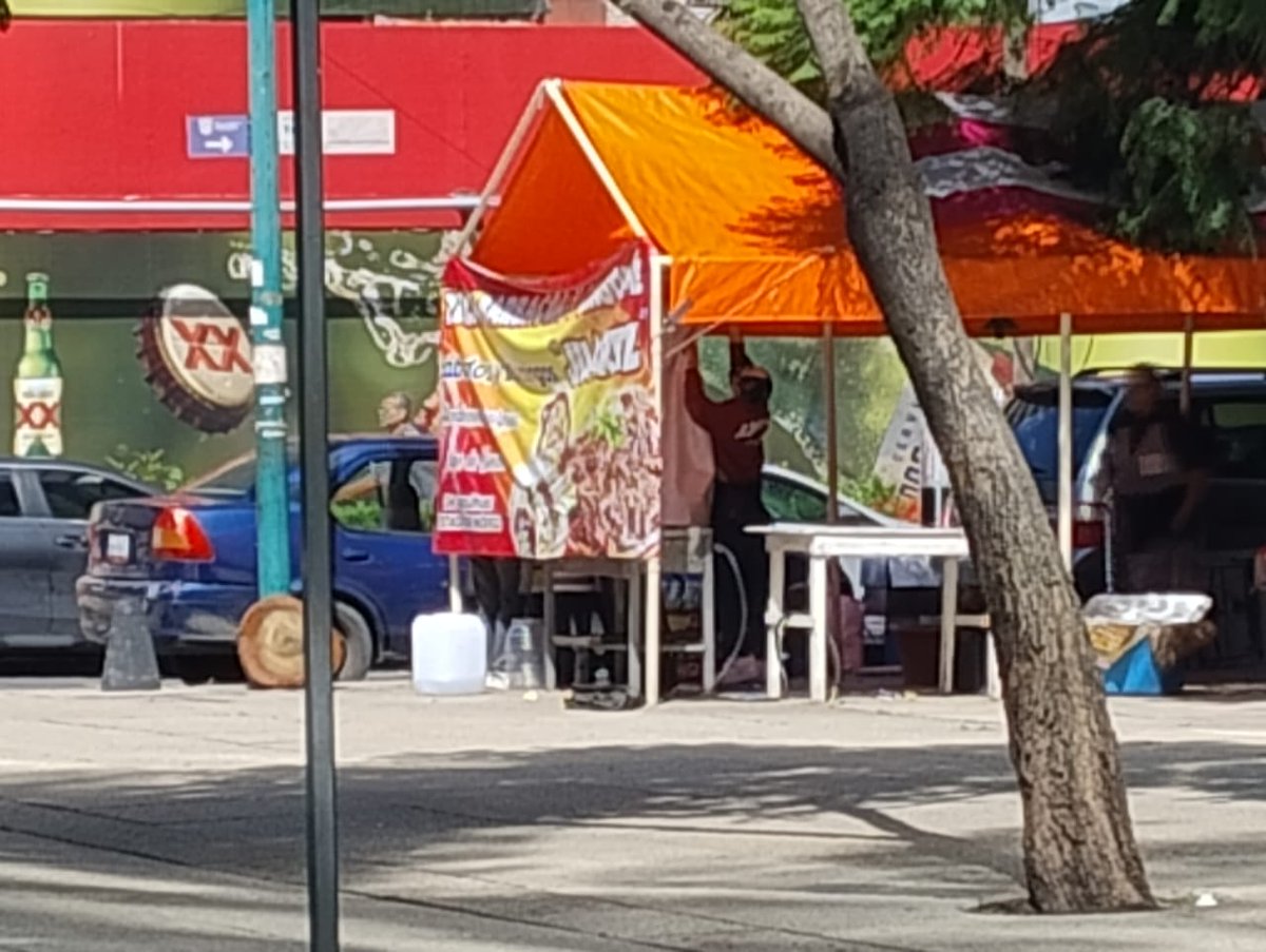 La Colonia Juárez tweet media