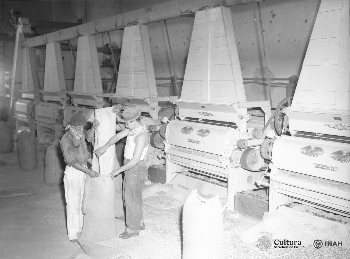 #Lafotodelasemana
Envasado de harina en una procesadora industrial de trigo y otros cereales, Colección Archivo Casasola, Jalisco, México, ca. 1945, Inv. 190724 #INAH #INAHVirtual #FototecaNacional #SINAFO #FN