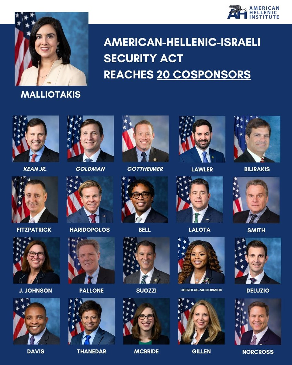 American Hellenic Institute tweet media
