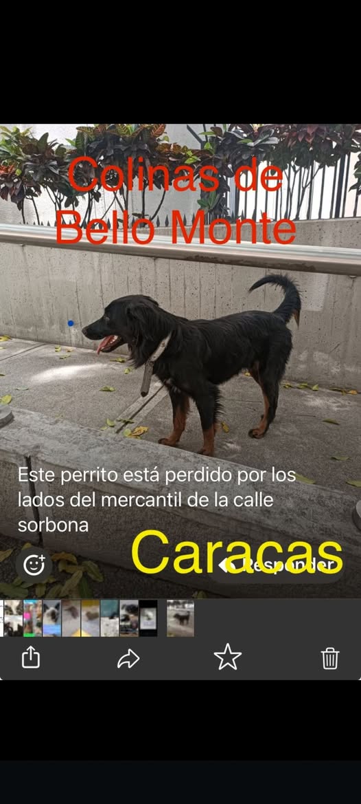 Difundo
No hay contacto Perdido Colinas de Bello Monte