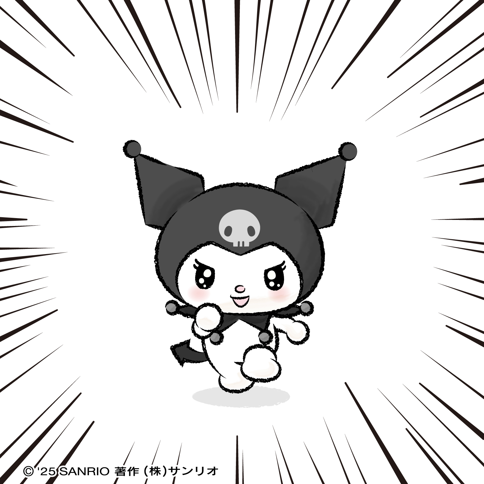 クロミちゃんさま専用ページ♡ wpc.patterns】様から発売されている可愛いクロミちゃんの商品の