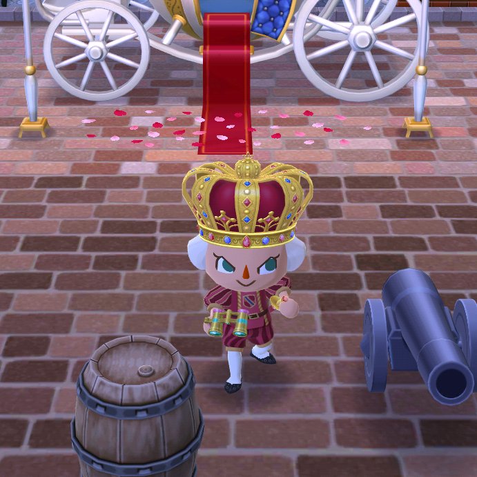 Dr Pamela Buchan tweet media