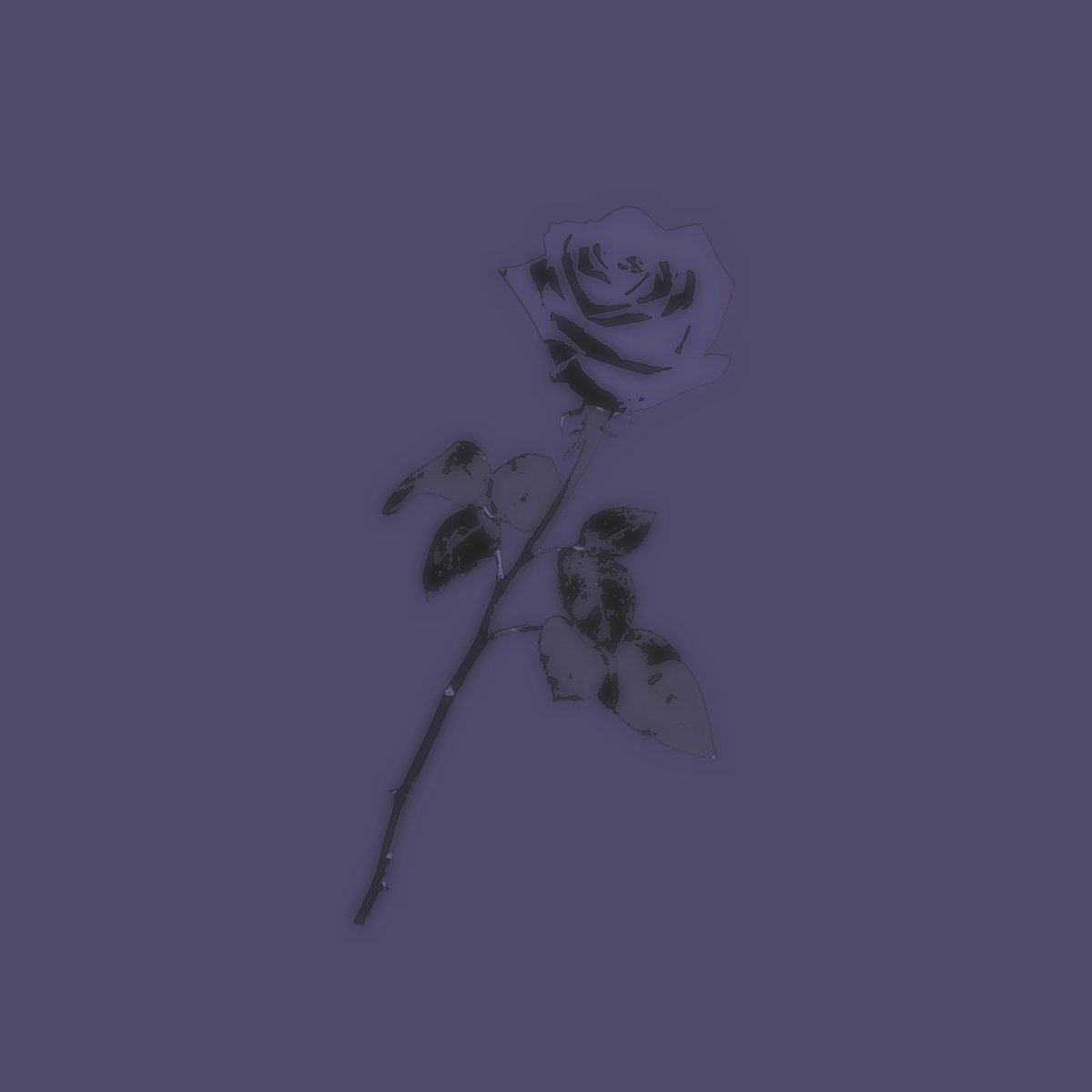 VICLETSYSTEMS's tweet image. ⠀

ᅠ ᅠᅠ
⠀ᅠ ᅠᅠᅠ ᅠᅠSILVERHAIRED.⠀
⠀ᅠ ᅠᅠᅠ ᅠᅠDEMON.⠀
ᅠ ᅠᅠ

⠀