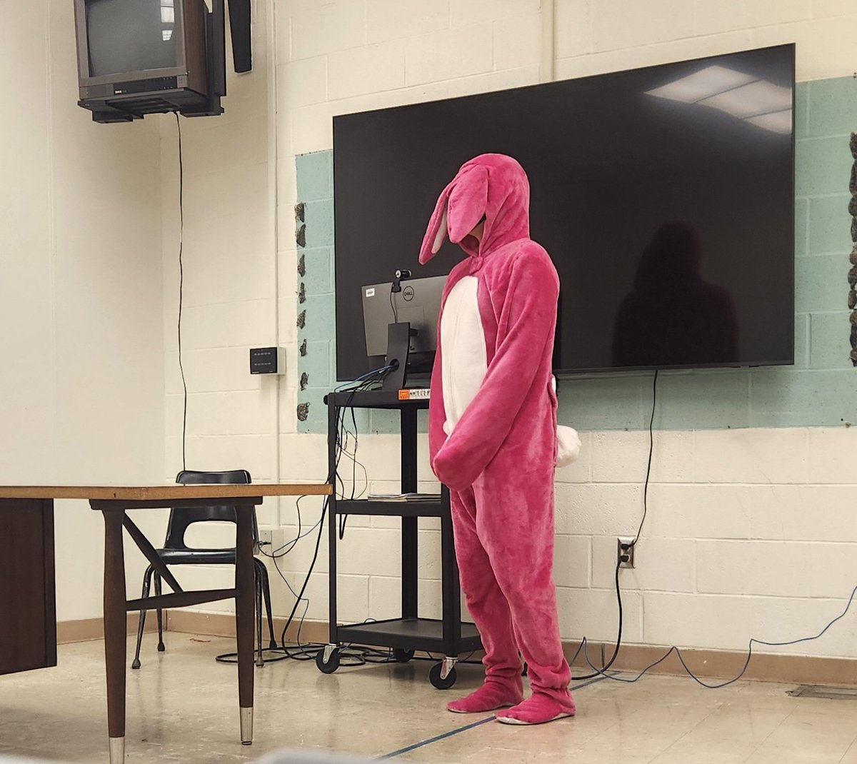 PinkEscapades's tweet photo. Who's the new kid? 🤨 https://t.co/OO0xtM9kRd
