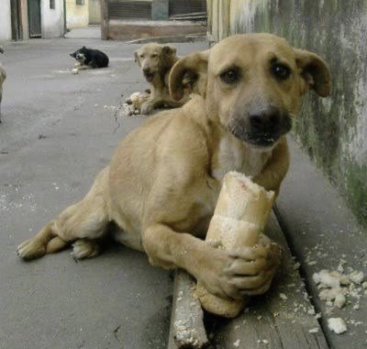 Mezun olunca sosyal hizmet uzmanı oluruz derken müracaatçı olan biz..