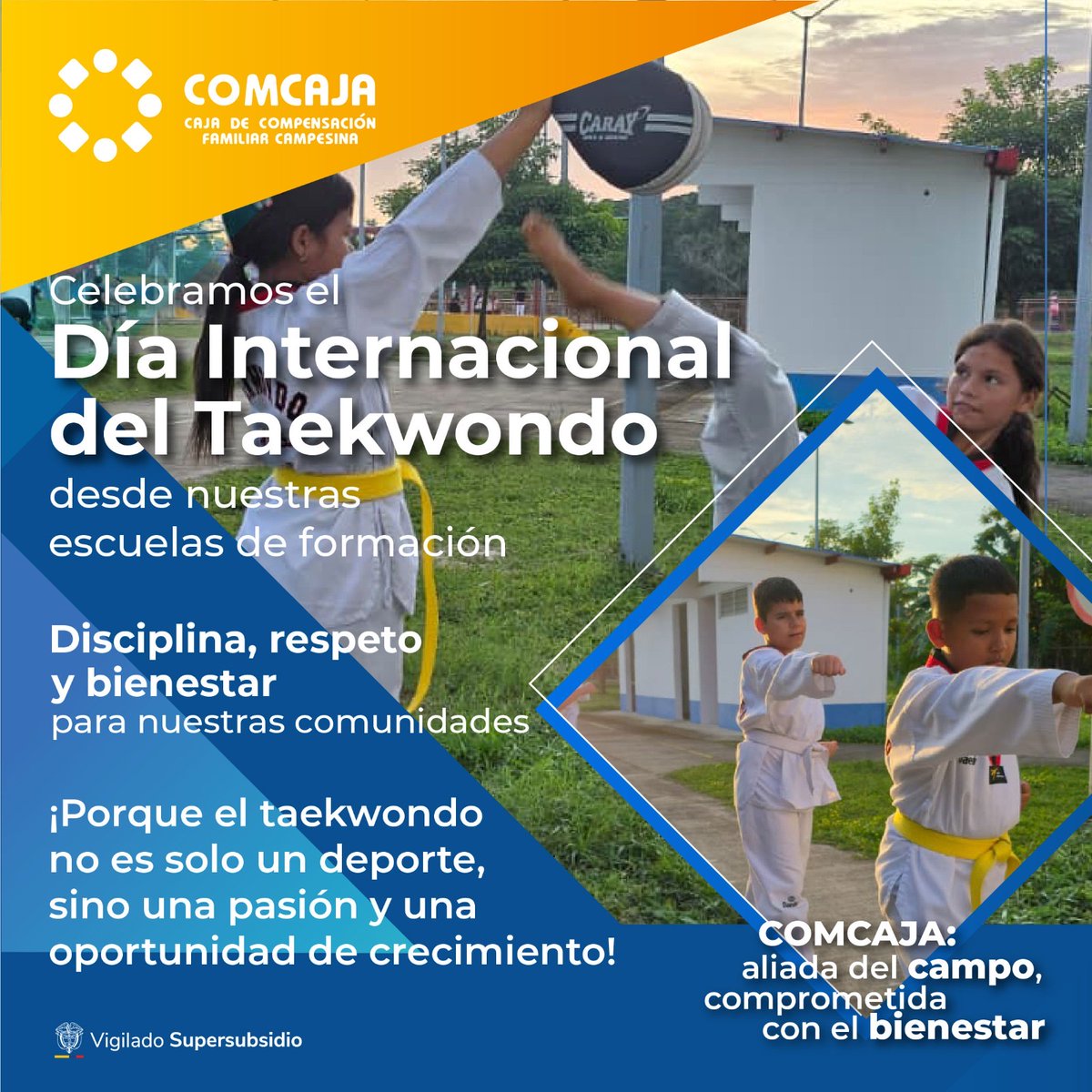 🥋💪 En el marco del Día Internacional del Taekwondo, en COMCAJA celebramos la disciplina, el respeto y la fuerza que este deporte inspira en nuestros niños, niñas y jóvenes.

#DíaInternacionalDelTaekwondo #COMCAJA #AliadaDelCampo #ComprometidaConElBienestar #EscuelasDeFormación