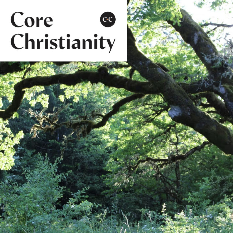 RevDocFix's tweet image. Excited to see the first installment of &quot;Jesus in Genesis&quot; get posted over at Core Christianity.

corechristianity.com/resources/arti…