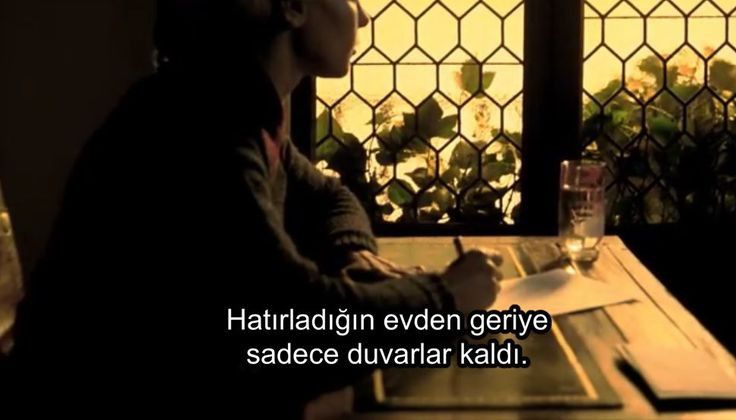 el espiritu de la colmena.