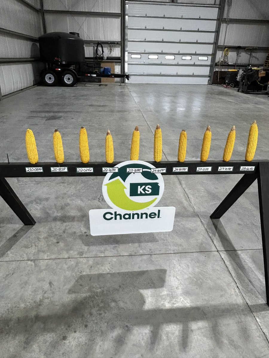 Gabe Anderson tweet media