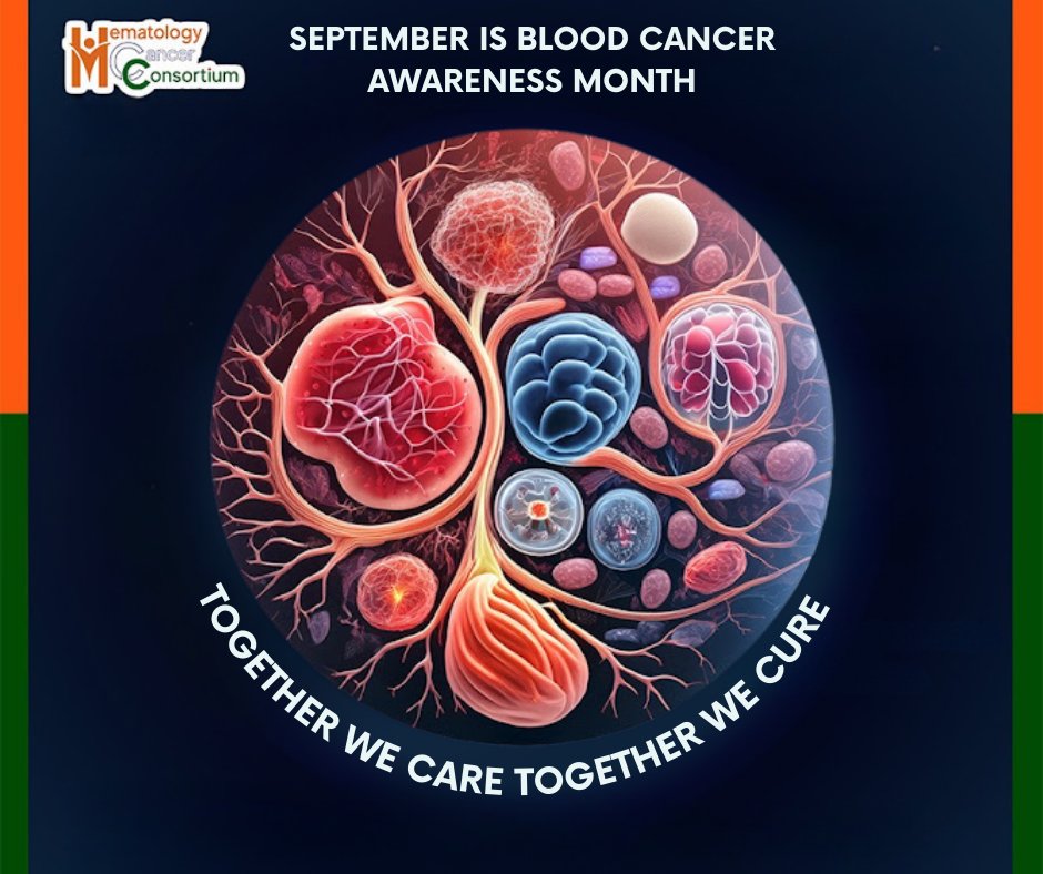 HCC_HemeCancer's tweet photo. 🩸 September is Blood Cancer Awareness Month 🩸
Leukemia. Lymphoma. Myeloma. MDS. MPNs.
Blood cancers are often “invisible” — detectable only with lab tests. Awareness = early diagnosis, better care &amp; hope for patients &amp; families.
#bloodcancerawareness https://t.co/1UgOdzl44w