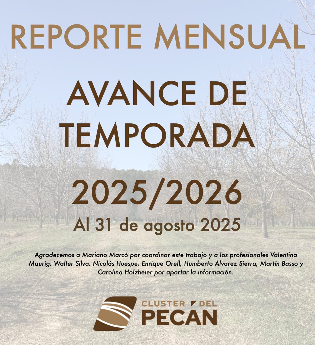 Estamos a las puertas del inicio de brotación de una nueva campaña con expectativas diversas por parte de los productores. Se esperan buenos resultados productivos que ayuden a superar las complejidades económicas q se están teniendo. 

Informe completo 👉clusterdelpecan.org.ar