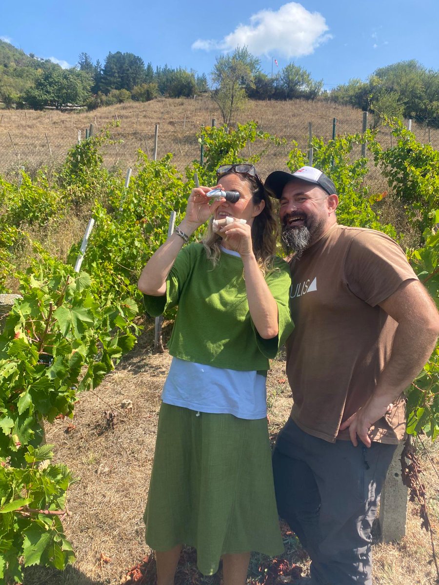 Vendimia a la vista <a href="/isabelorujito/">Isabel Garcia</a>