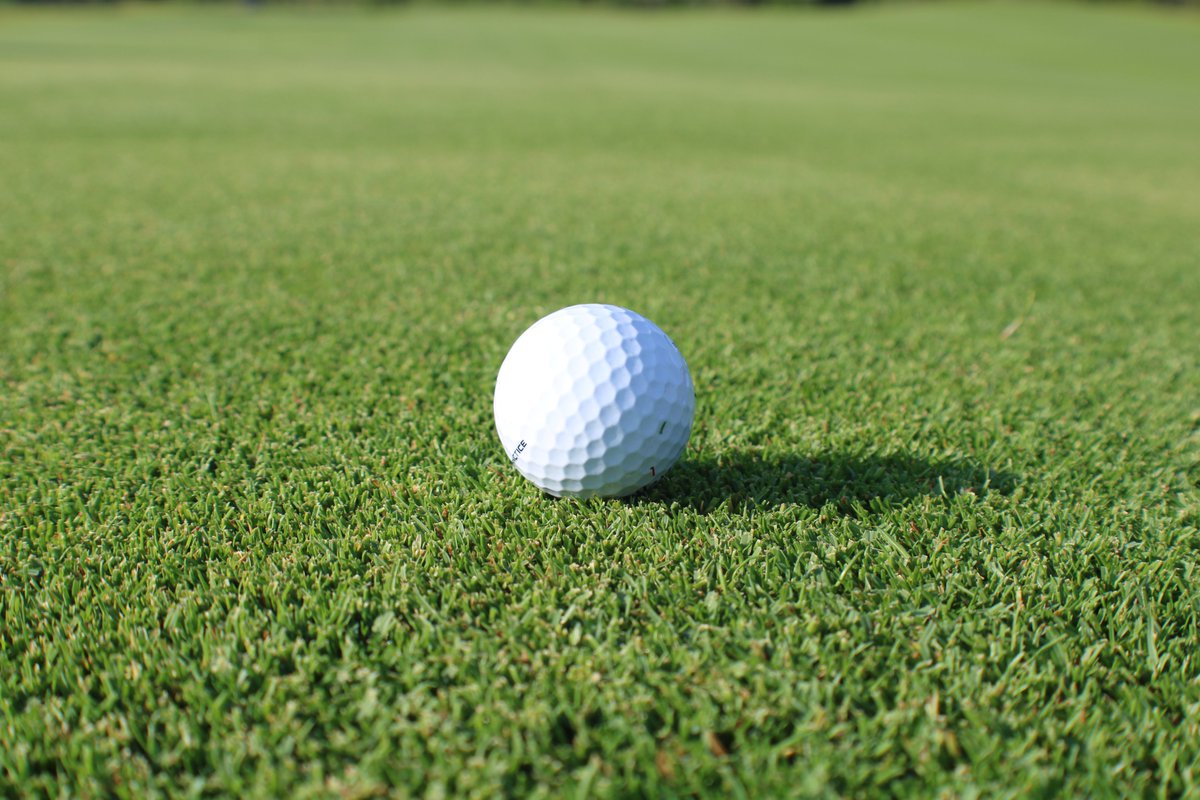 Platinum TE Paspalum tweet media