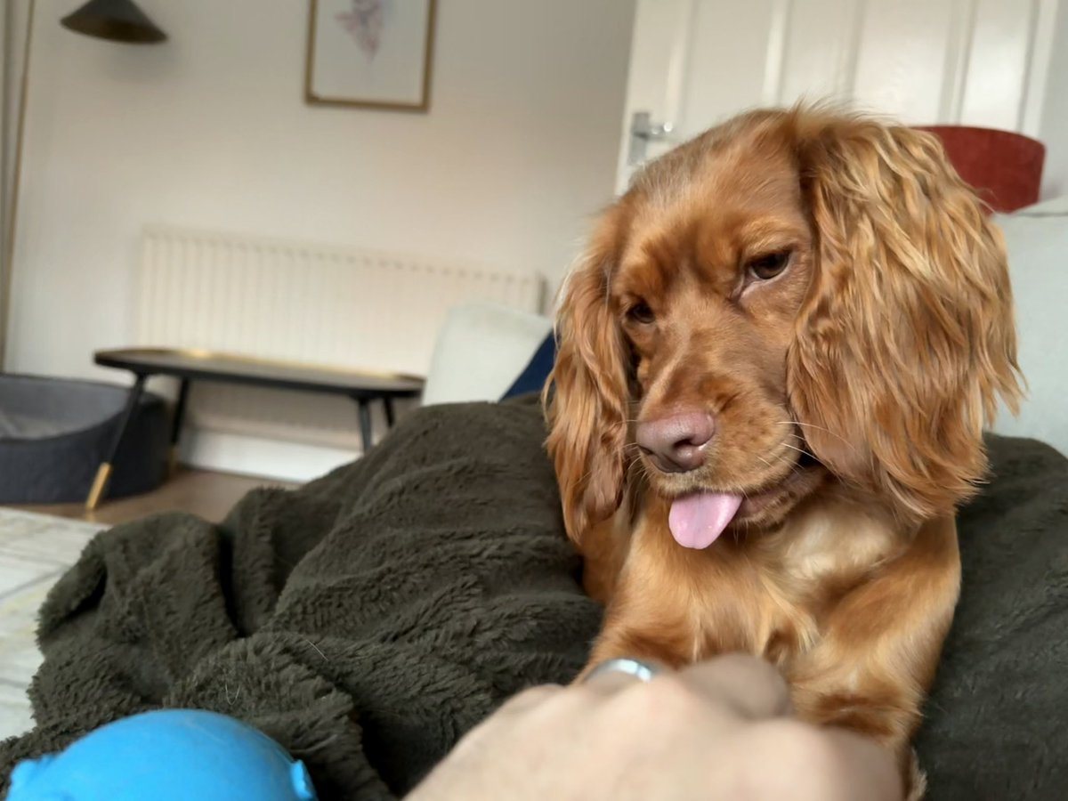 Scott price tweet media