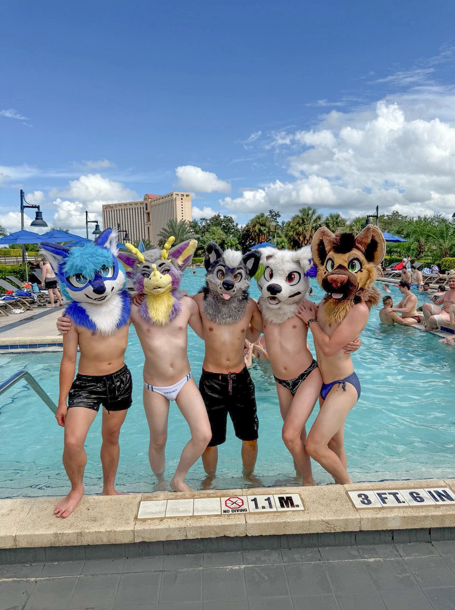 Met the fuzz at the pool 

🐺: <a href="/Altzfolf/">Comet 💫 ➡️ AFC🌴</a>