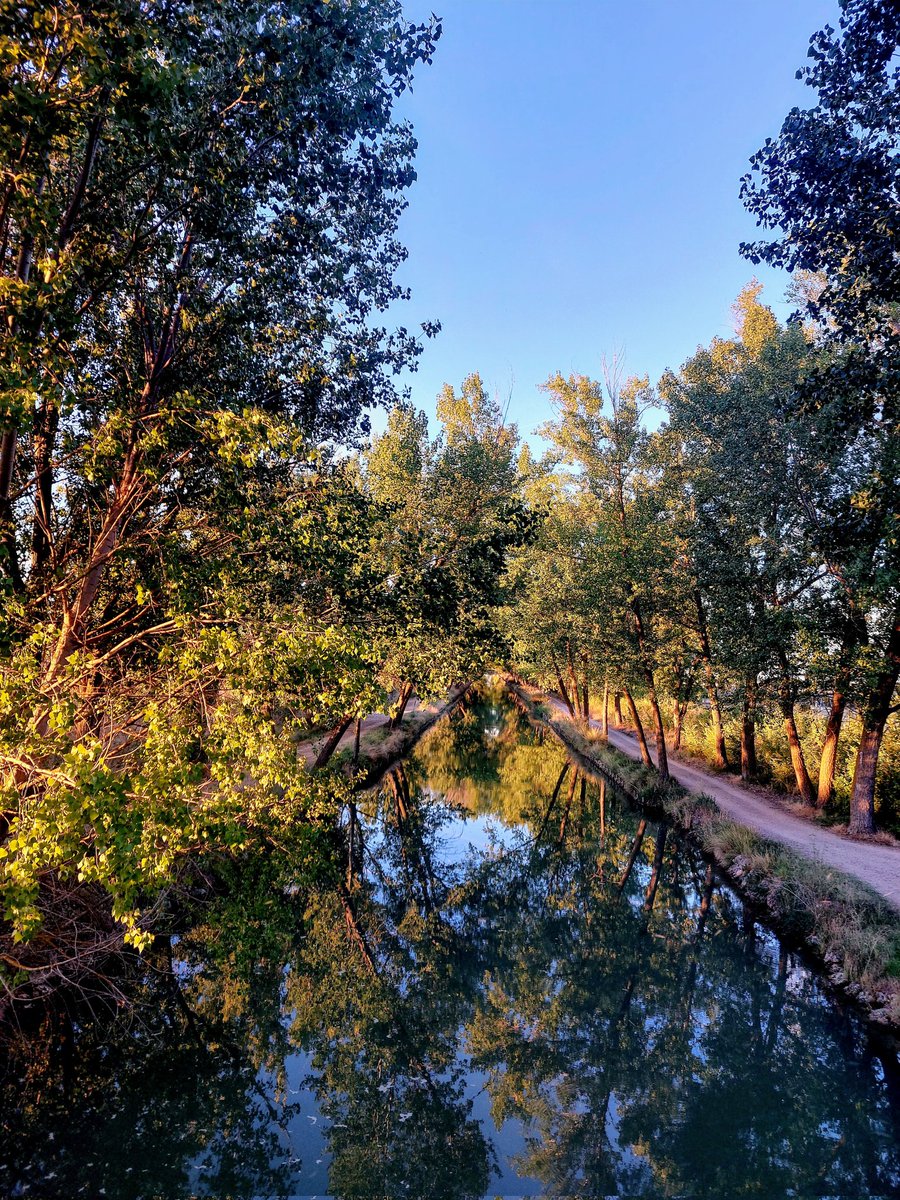 Alfonso78035755's tweet photo. Atardecer  en el canal. Buenas  noches 💫 https://t.co/N25QWRsw3y