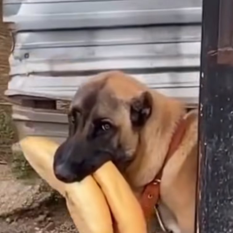 Mezun olur olmaz direkt hmgs çalışmaya başlayıp o kadar emek vermek ve işe girince de 30k falan kazanacağımı bilmek