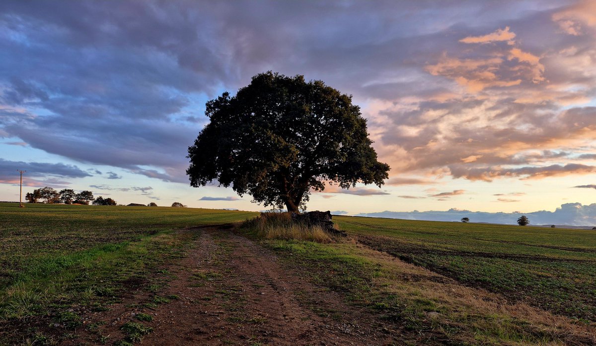 Sheriff Rick Grimes, Richmondshire County🇬🇧🤠⭐️ tweet media