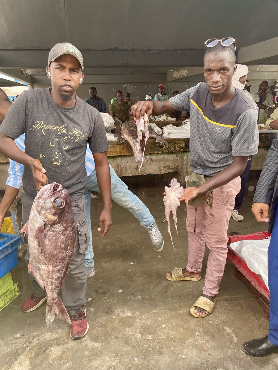 Collins of Highbury tweet media