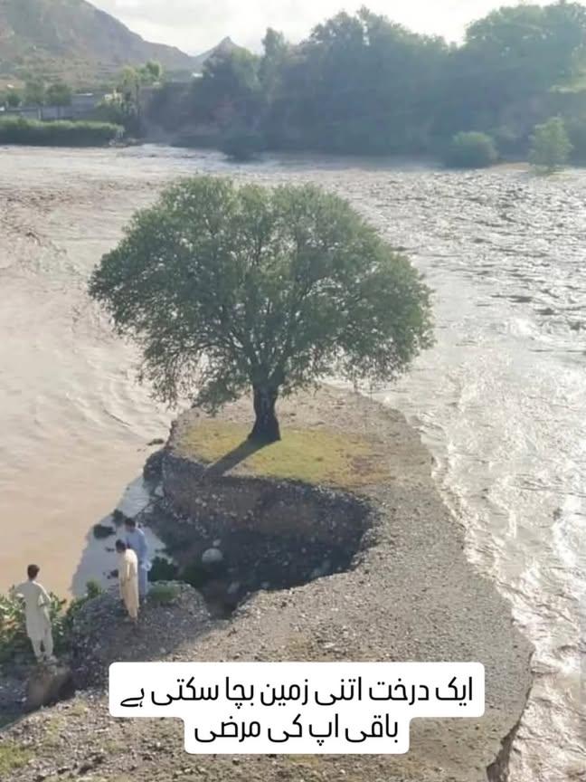 rubina_aleem's tweet photo. One Tree
Just one Tree
Could save this much land from the furious waters 🌊 🌊 🌊
Imagine what miracle could a billion trees could do.
Once an enlightened Derwaish recommended this 💞💞
#planttree🌱🌱
🌳🌴🌲🌳🌴
Baqi aap ki marzi 🙇🏻♀️ https://t.co/uVkhTm89OX