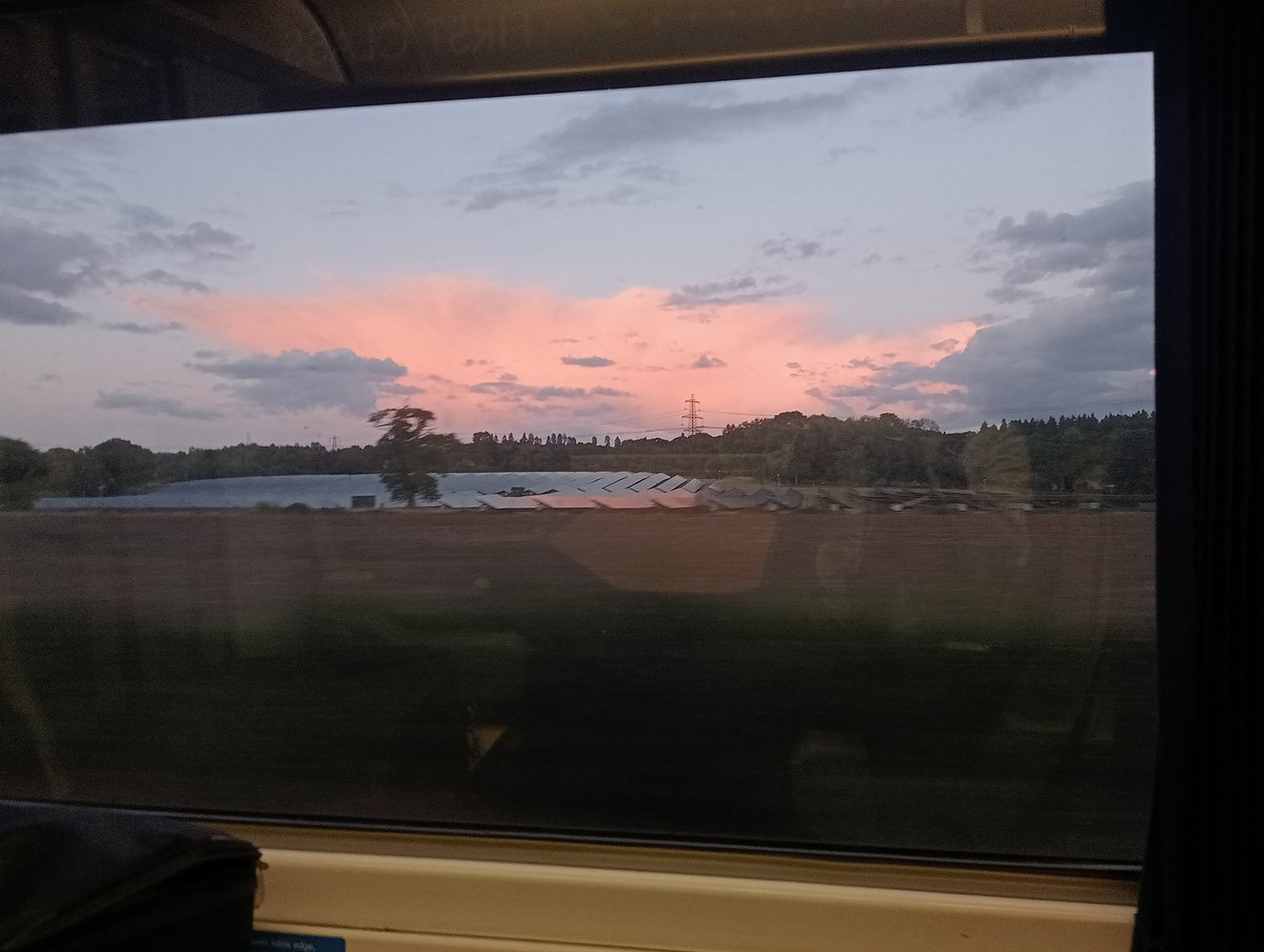 Dominic Ryan tweet media