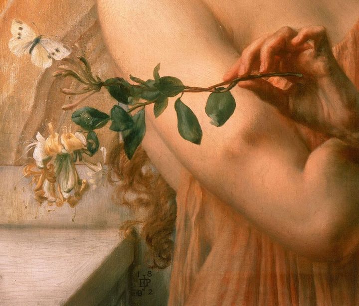 IntraPartes's tweet image. Bataklıkta çiçek aramayın, bulamazsınız!