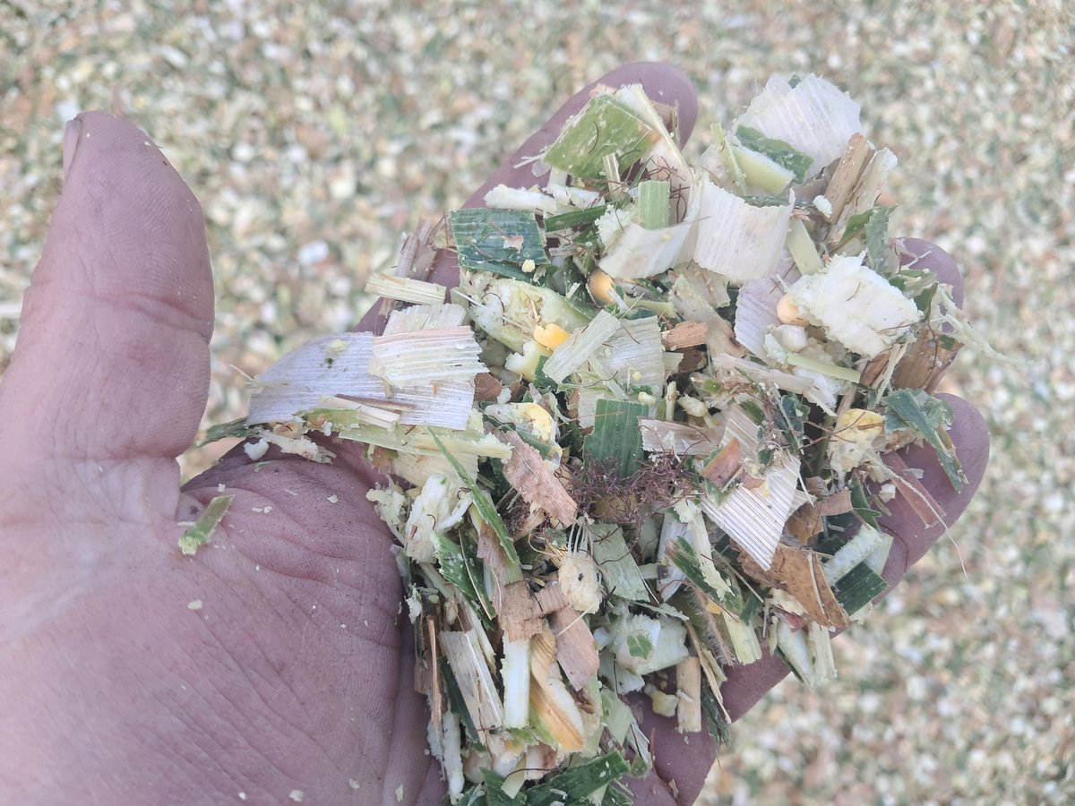 Première des 2 jours les plus importants de la ferme : l'ensilage de maïs 
Quand je vois combien cette plante est capable de produire en ayant reçu 130mm depuis le semis jusque semaine dernière en comparaison des prairies "paillassons" depuis 2 mois ! 😳
#FrAgTw