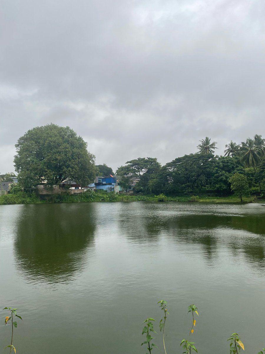 Happy #Onam from #Kerala 🇮🇳🌴☀️