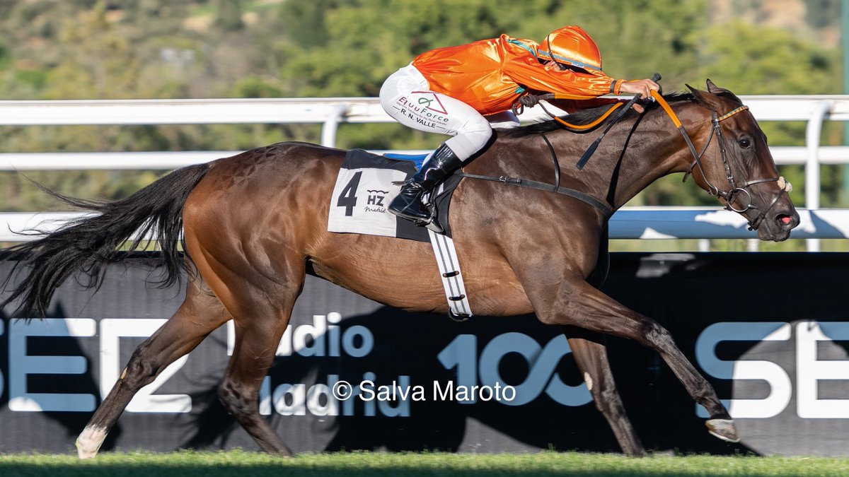 1a 🌿 Yiajo ➡️ Shalaa y Loyal Heroine

Subiendo la yegua de la cuadra Peques 🟠
De punta a punta dominando a los machos. 
<a href="/ArizkorretaR/">Arizkorreta Racing</a> 
<a href="/RNValle2/">R.N.Valle</a>