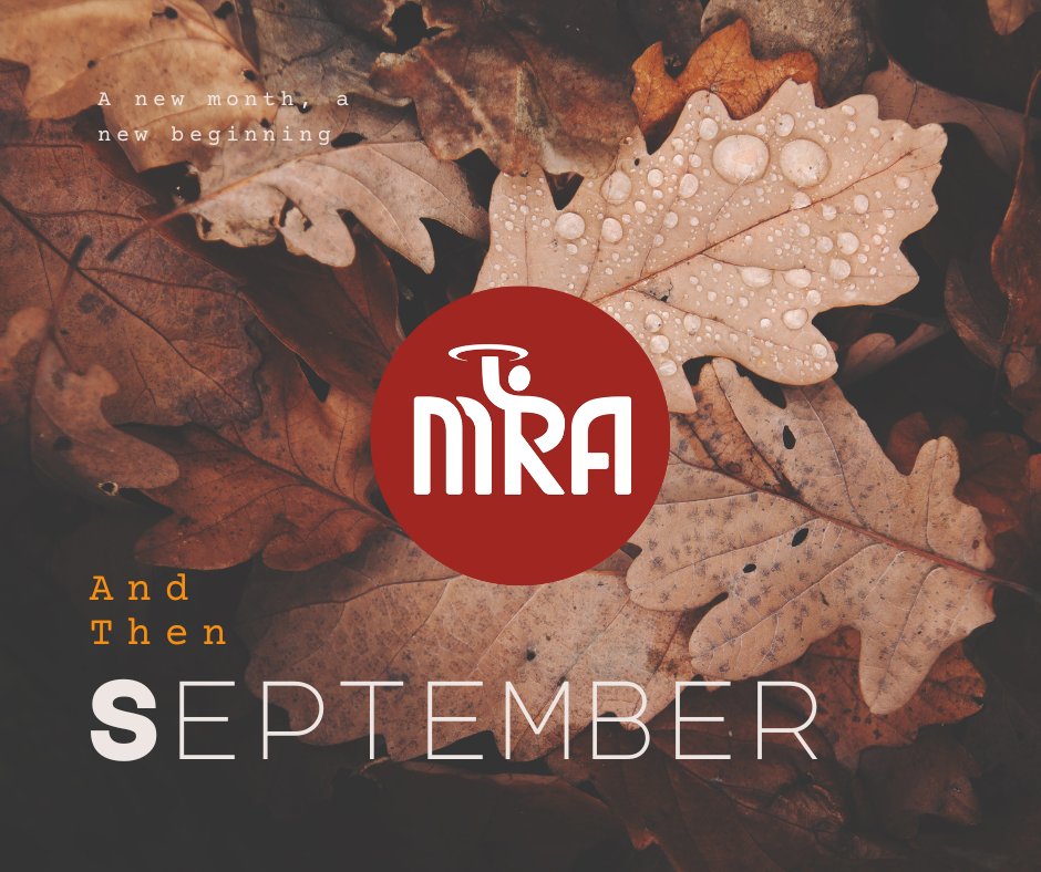 Memphis Restaurants tweet media