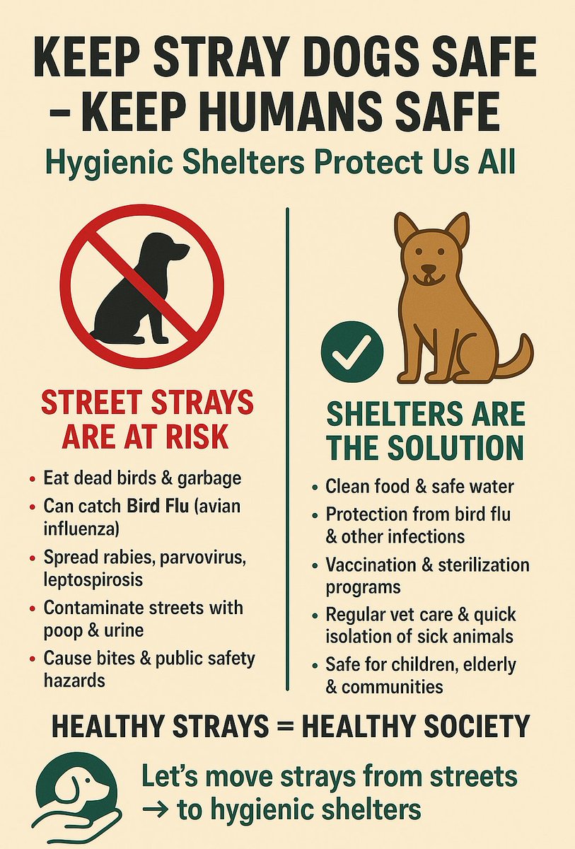 AlexDimpy's tweet image. straydogsmenace #dogbites #dogattacks is not only concern for #children but also petlovers &amp;amp;  #DogLovers #straydogs increases high risk of canine diseases due to unhygienic life, increases fear &amp;amp; aggression in pets as group of awara kutta attack together

#straydogsfreeindia