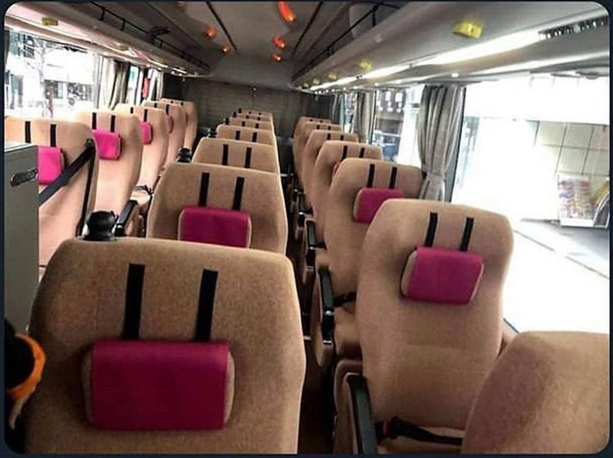 Friki Maestro tweet media