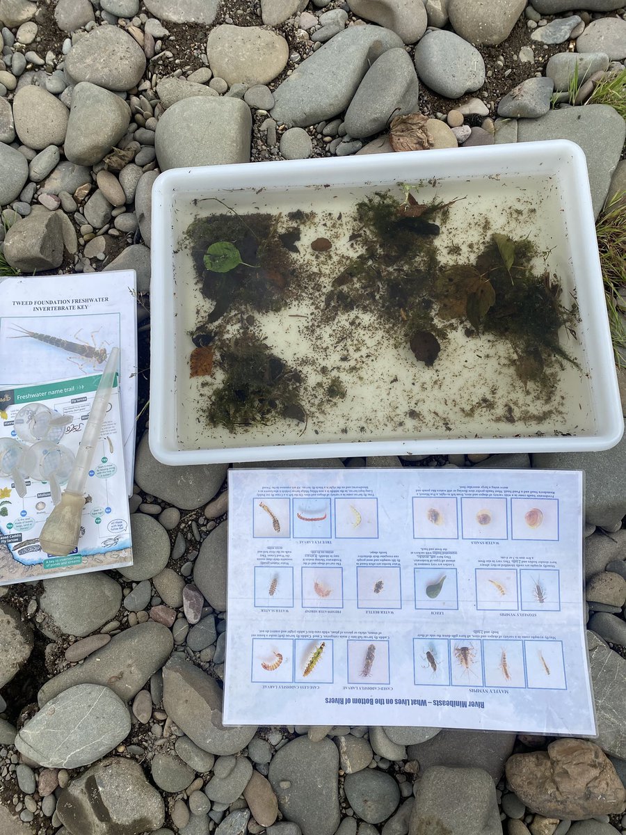 Miss Woodhead tweet media